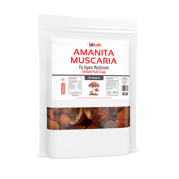 AMANITA MUSCARIA (Full Caps)